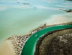 It is also the largest protected area in the Baham It is also the largest protected area in the Bahamas. It has 5 national parks with various species of wildlife and marine animals. These are the Blue